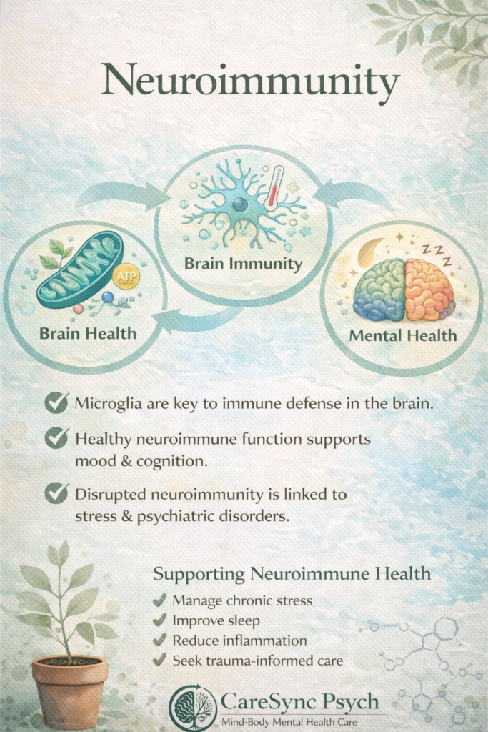 Neuroimmunity and Mental Health: Why the Immune System in the Brain Matters More Than We Once Thought